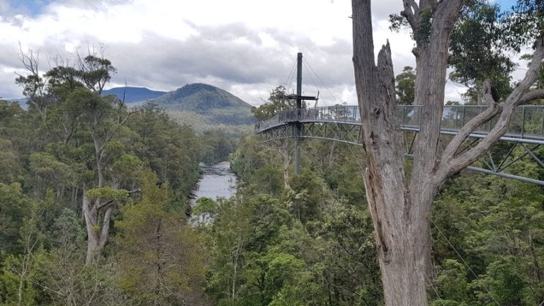 huon valley day tour